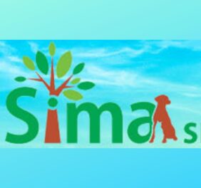 Sima srl