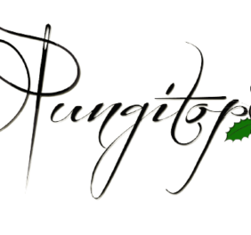 Erboristeria Il Pungitopo