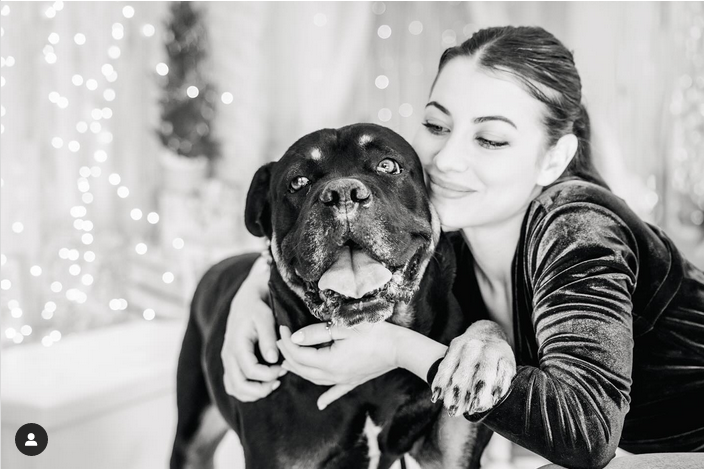 Federica Fashion Pet